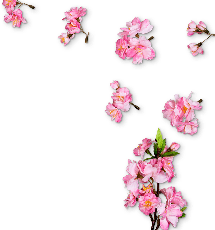 right-side-sakura.png